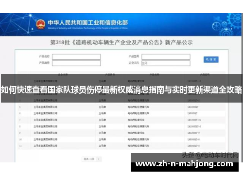如何快速查看国家队球员伤停最新权威消息指南与实时更新渠道全攻略 如何快速查看国家队球员伤停最新权威消息指南与实时更新渠道全攻略
