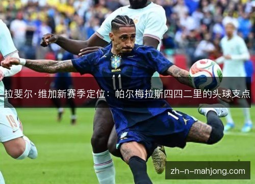拉斐尔·维加新赛季定位：帕尔梅拉斯四四二里的头球支点